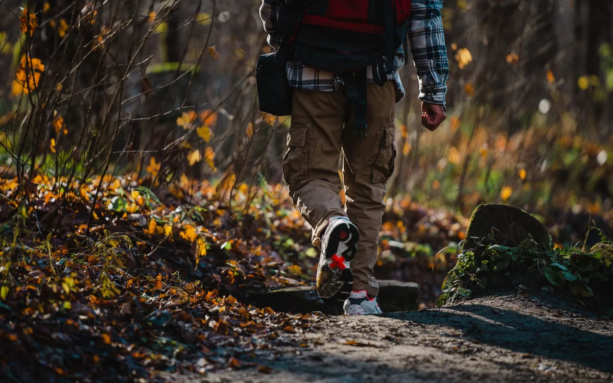 Chasseurs, promeneurs et VTT dans le même bois