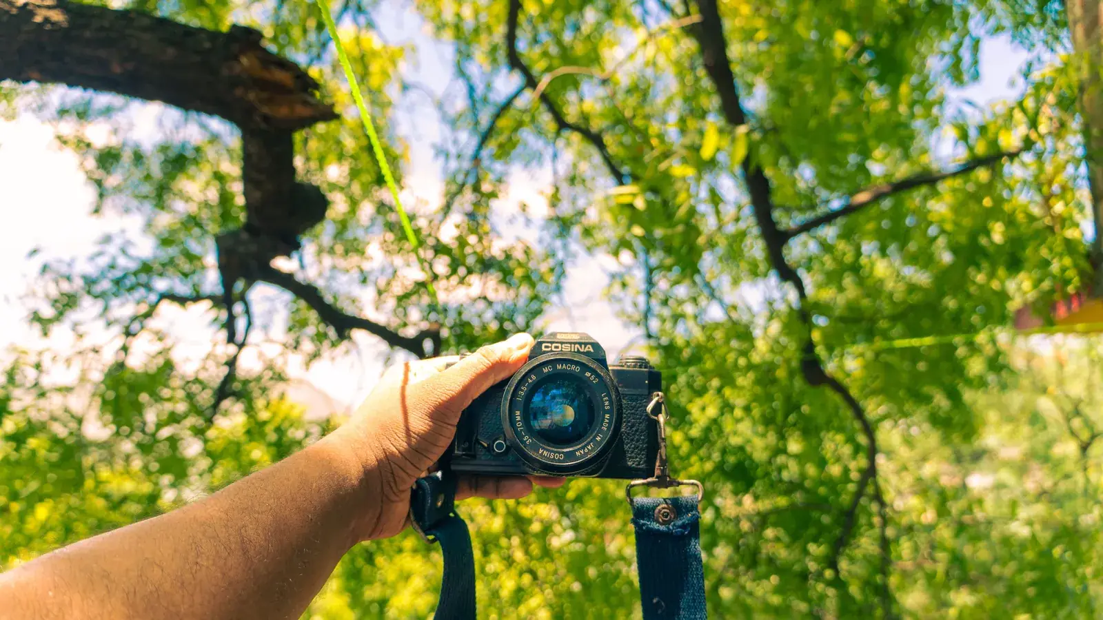 Le guide complet de la caméra de chasse